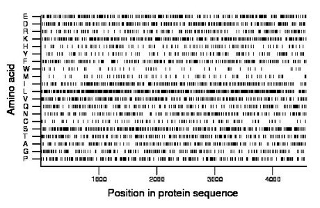 amino acid map