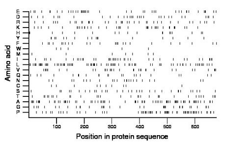 amino acid map