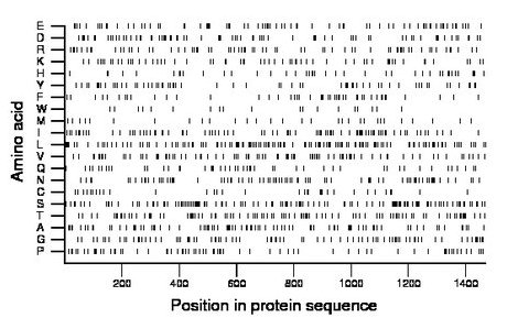 amino acid map