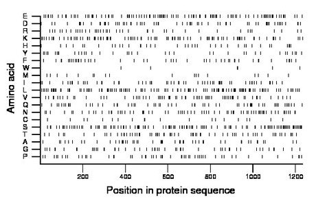 amino acid map