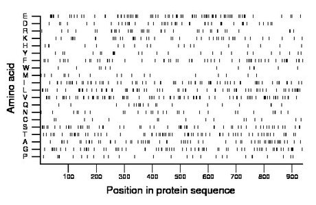 amino acid map