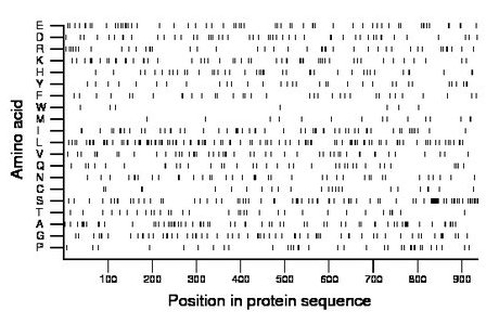 amino acid map