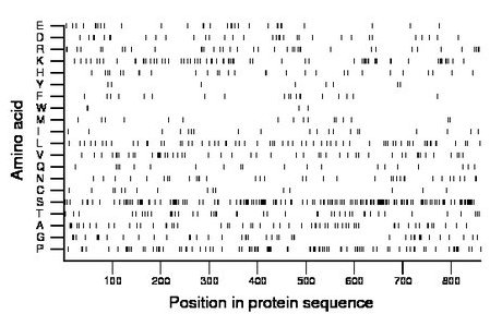 amino acid map