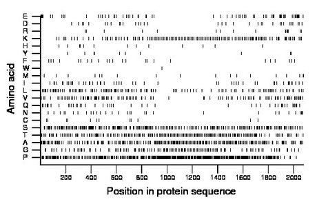 amino acid map