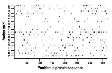 amino acid map