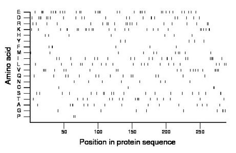 amino acid map