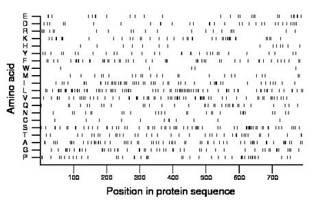 amino acid map