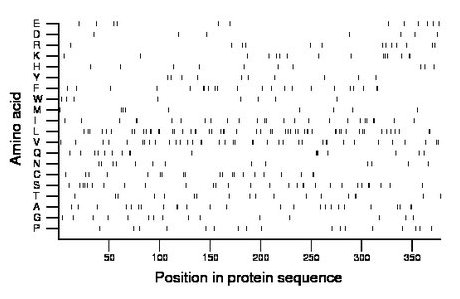 amino acid map