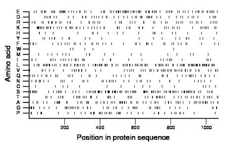 amino acid map