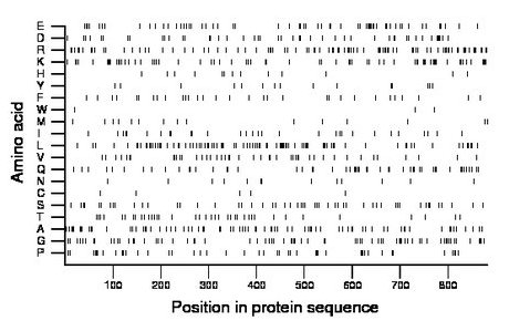 amino acid map