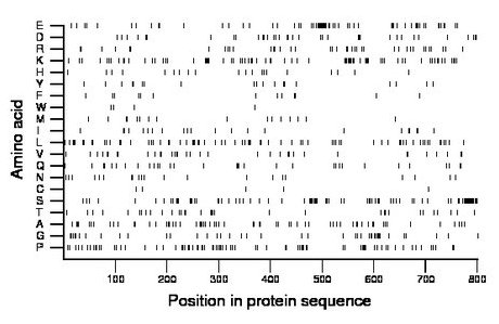 amino acid map