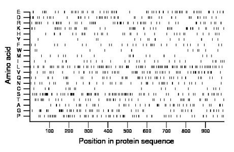 amino acid map