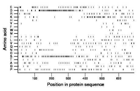 amino acid map