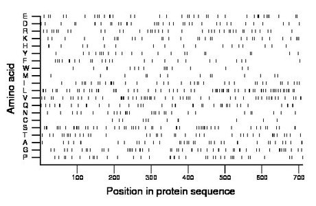 amino acid map