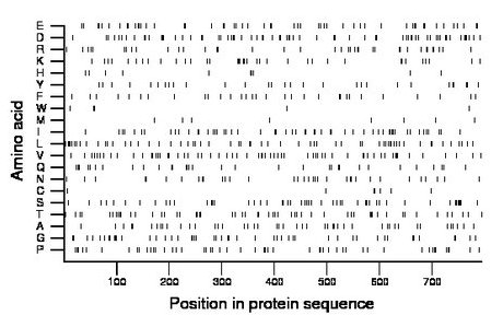 amino acid map