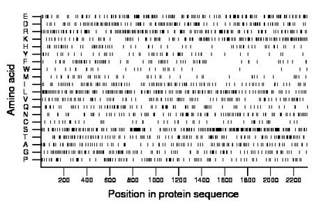 amino acid map