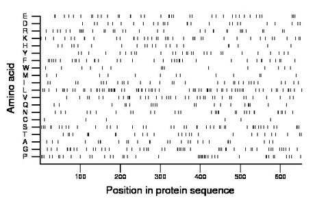 amino acid map