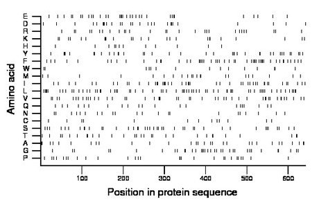 amino acid map