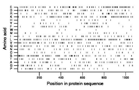 amino acid map