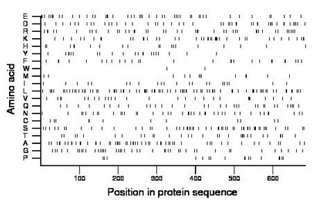 amino acid map