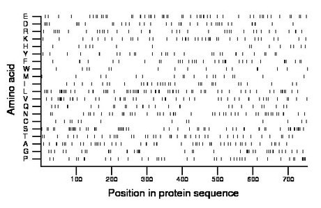 amino acid map