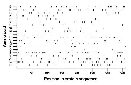 amino acid map