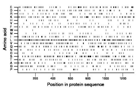 amino acid map