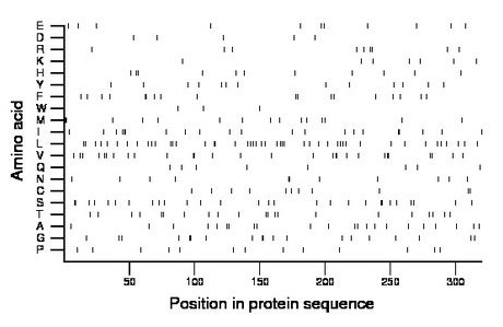 amino acid map