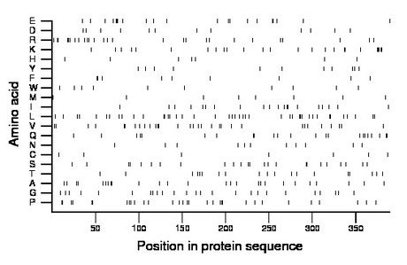 amino acid map