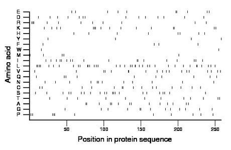 amino acid map