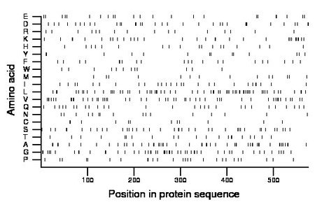 amino acid map