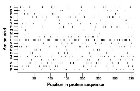 amino acid map