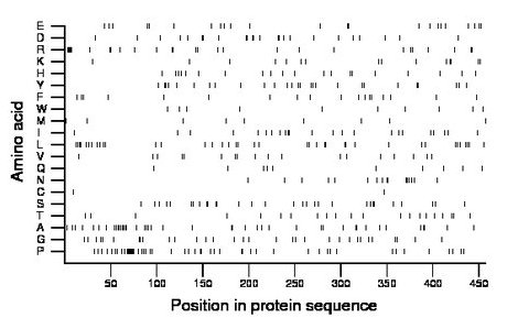 amino acid map