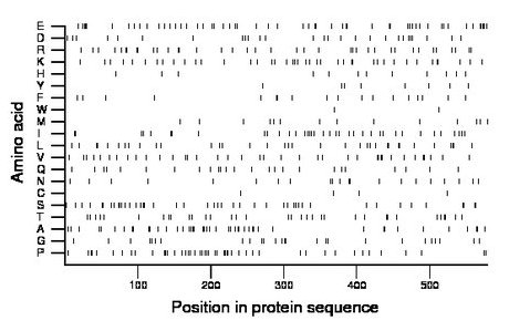 amino acid map