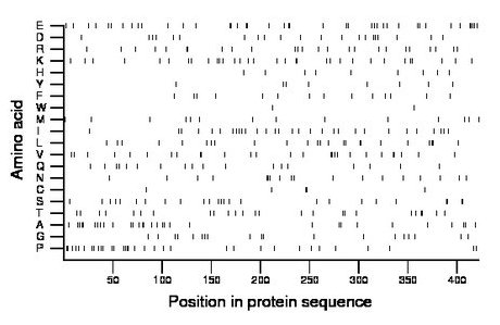 amino acid map