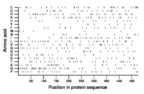 amino acid map