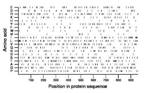 amino acid map