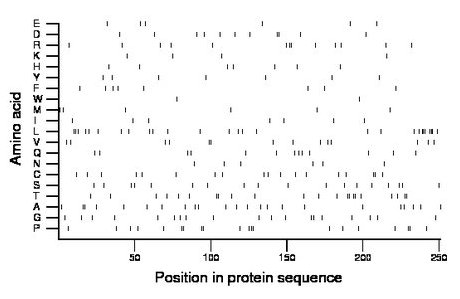 amino acid map