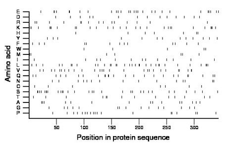 amino acid map