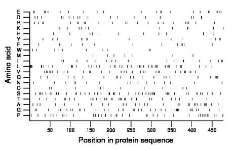 amino acid map