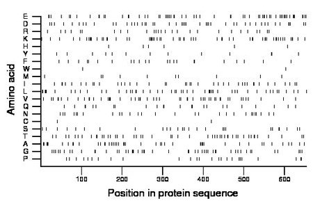 amino acid map