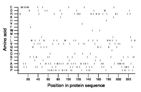 amino acid map