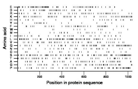 amino acid map