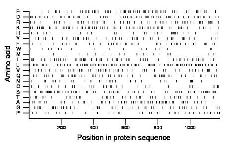 amino acid map