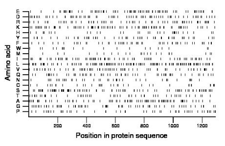 amino acid map