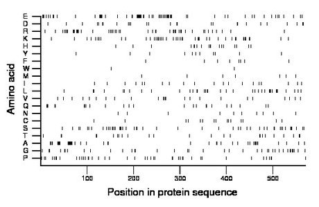 amino acid map