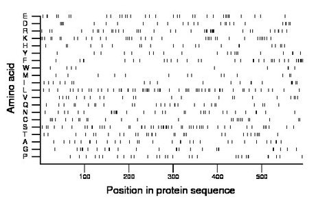 amino acid map