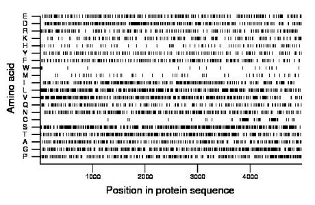 amino acid map