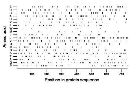 amino acid map