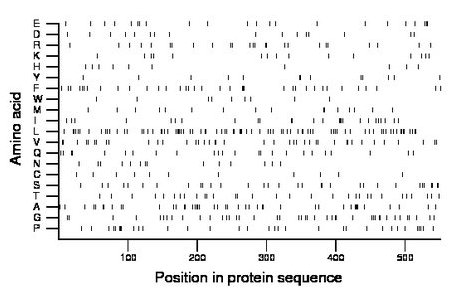 amino acid map